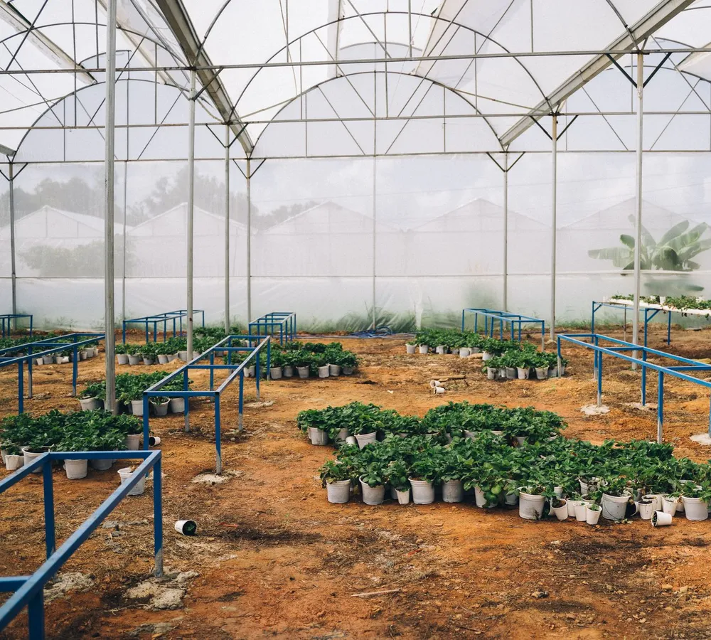Agriculture & Horticulture — AI use case