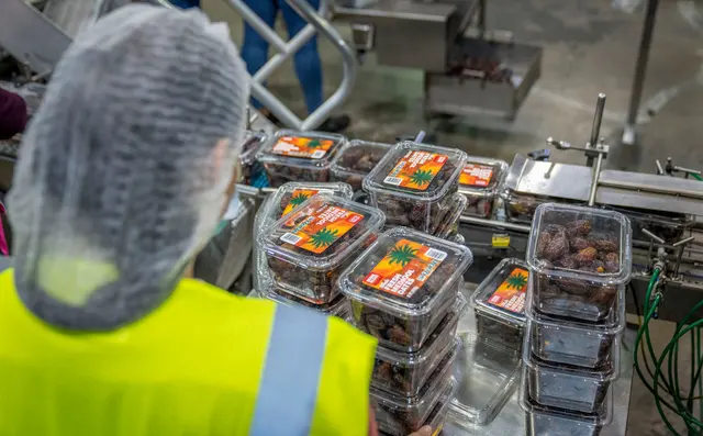 Food products moving along a factory inspection conveyor