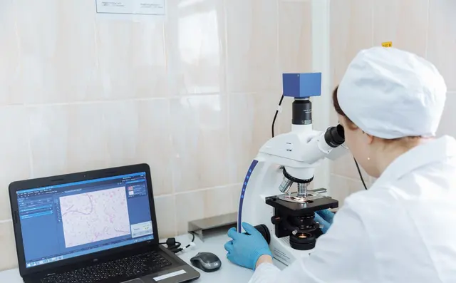 Laboratory data being reviewed on a computer screen