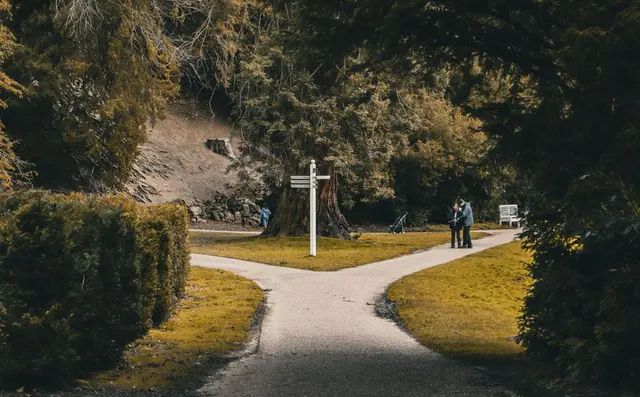 Een wandelpad splitst in twee richtingen bij een wegwijzer